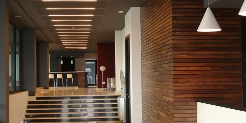 efd745_d24f3657b3214df58a1c419dabf38a4f~mv2